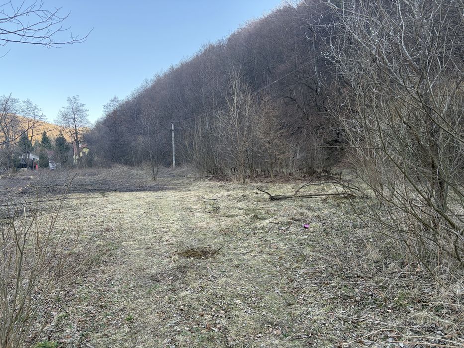 Teren Intravilan Valea Ierii Frăsinet