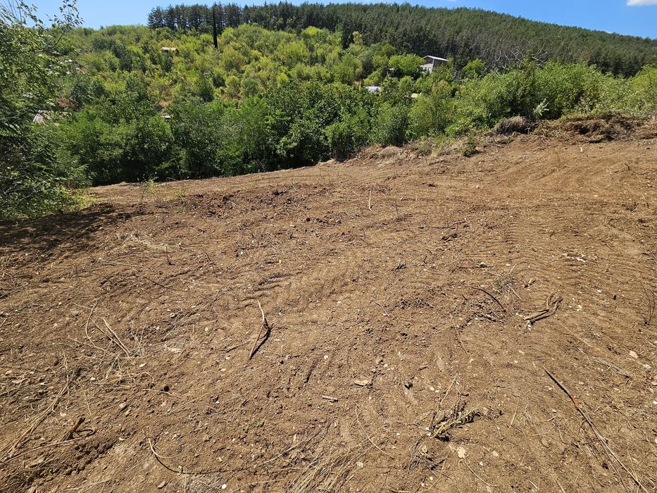 Панорамен парцел