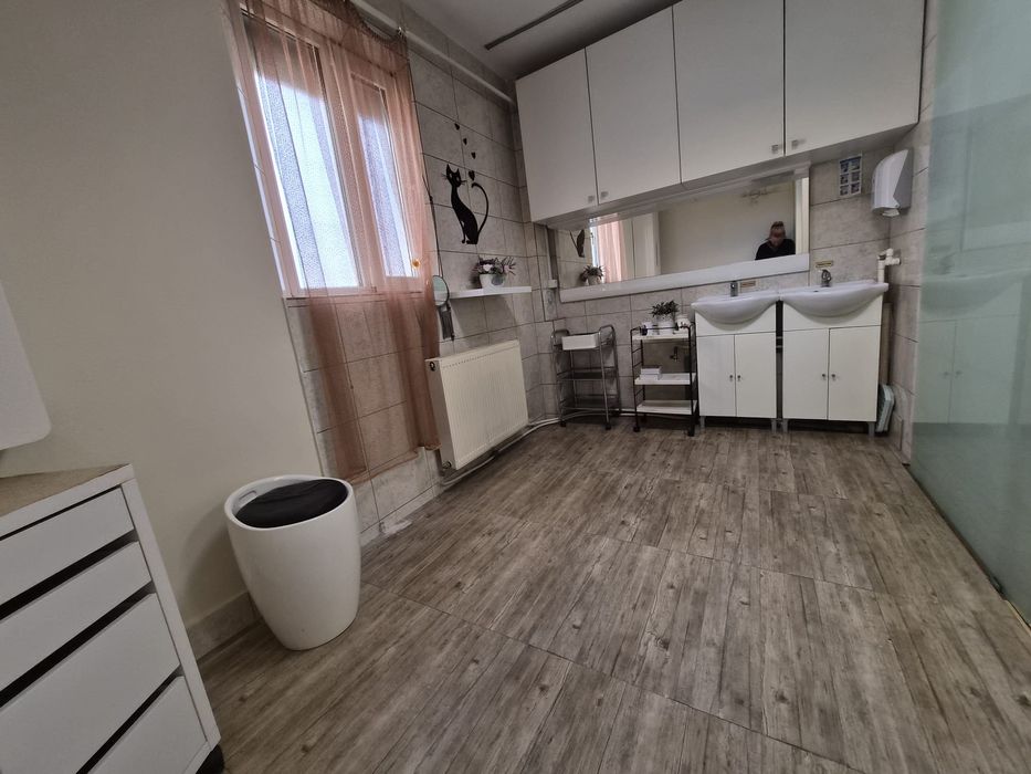 De vânzare apartament (spațiu comercial)