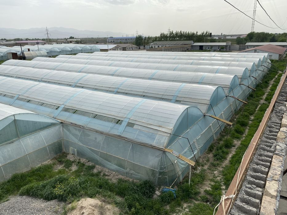 Прибыльный Готовый бизнес