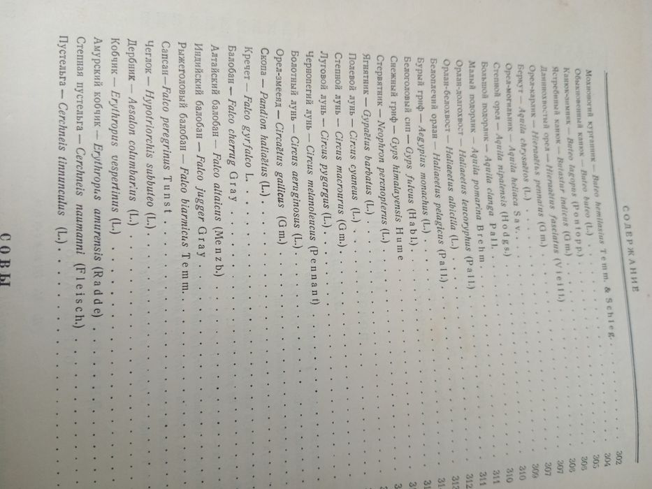 Роритет про охоту.