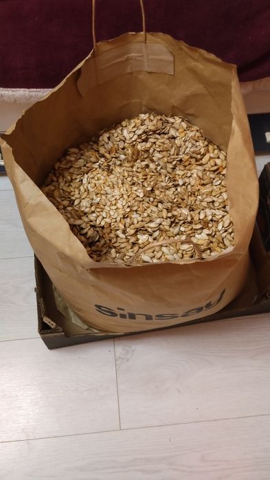 Продавам семена за посев отсладки български тикви кестени и сладки циг