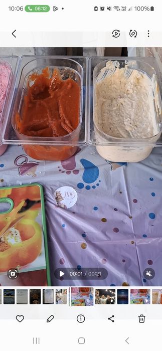 Proțap porc oaie pui.