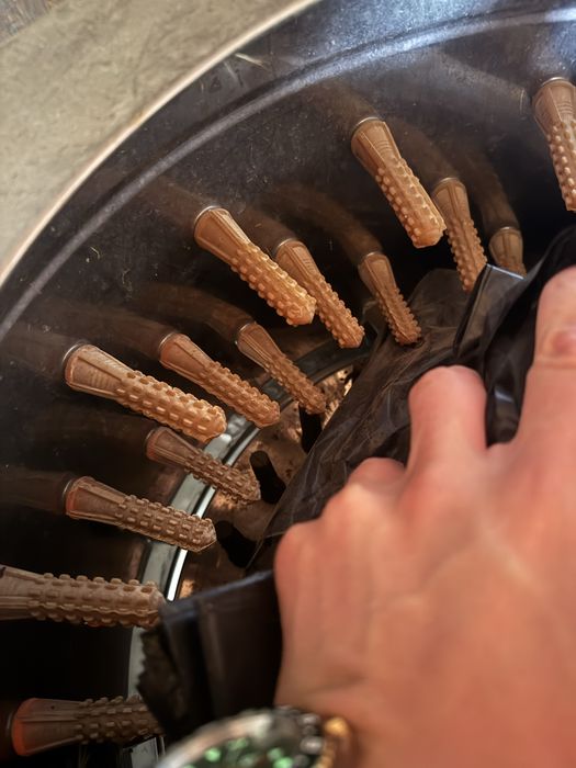 Deplumatori gaini  upgradat