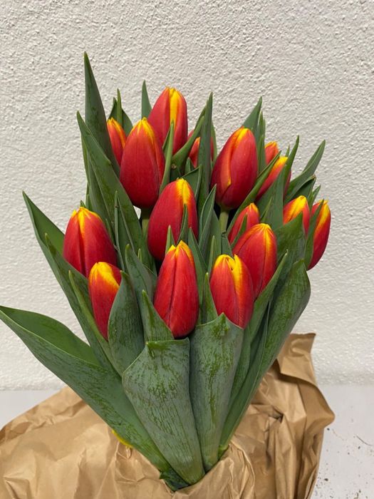 Тюльпаны с оформлением