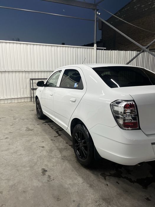 Cobalt midnight 2024/25