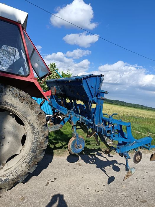 Vând prasitoare cu fertilizare