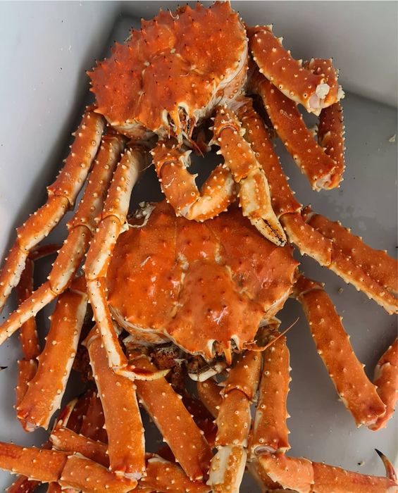 Краб камчатский,краб волосатик,клешни краба,живые раки