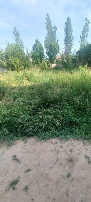 СРОЧНО Янгийул т.н Чаманзор Кора тепа махалласи М39 Тошкент Самарканд