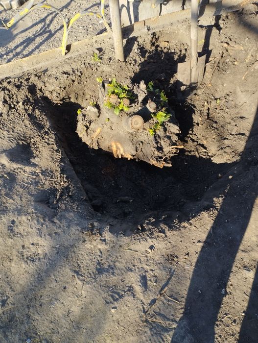 Уборка территории прополка огорода