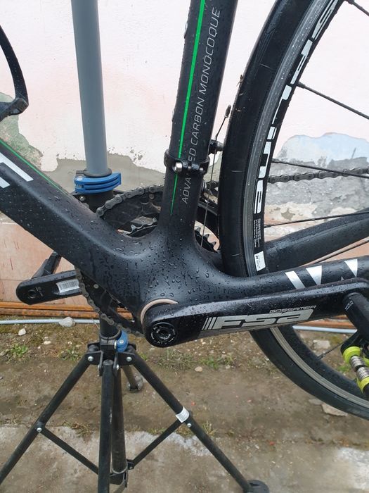 Cursiera carbon.