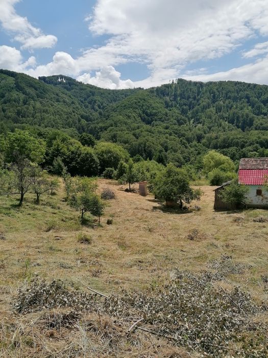 De vanzare teren intravilan 4500 mp,cu casa veche in Sovata