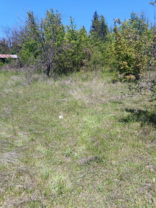 Продава се Парцел в Разград, Промишлена зона - Запад - 1700 кв.м за 12 €/кв.м - Снимка #3