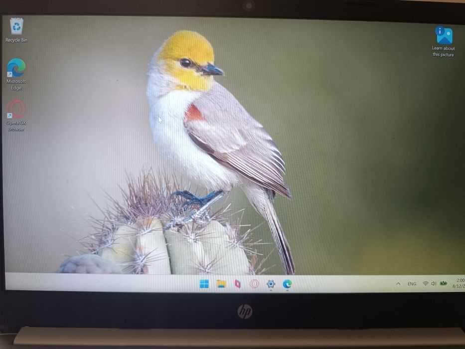 Лаптоп HP 14s (14") / AMD Ryzen 3 3250U / 4GB RAM / Windows 11 Pro