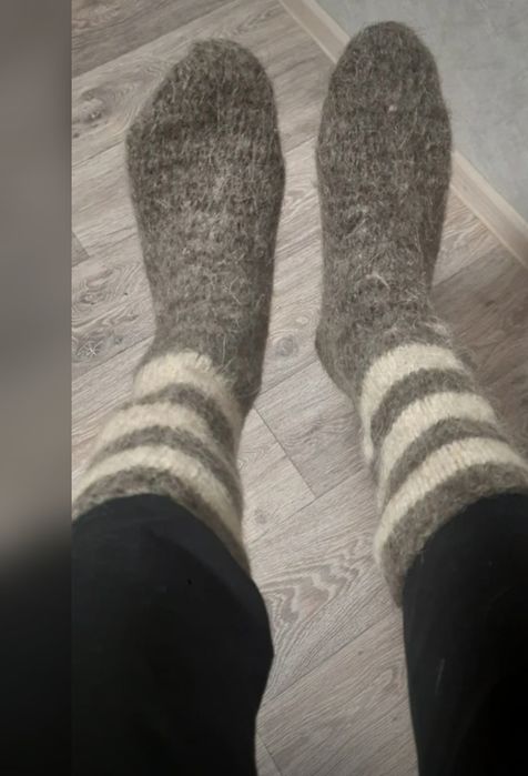 Продам новые собачий носки