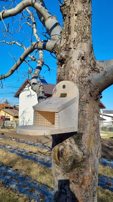 Hranitoare veverițe