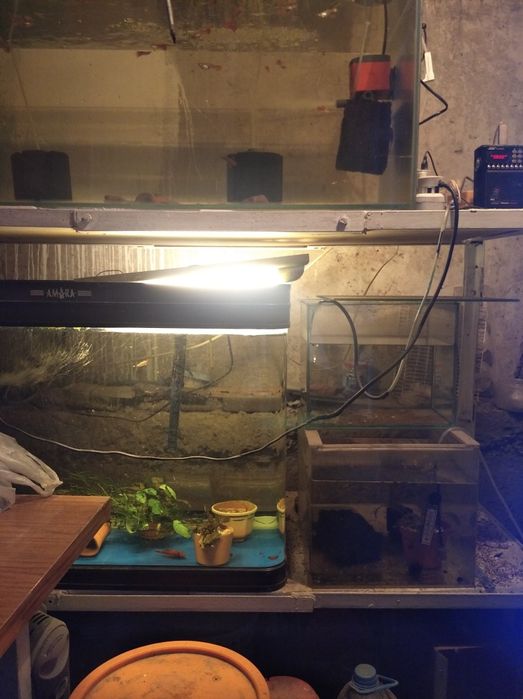 Продам Акварюмы с рыбками