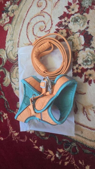 Vand accesorii pisicuta, patutul/lesa pot fi folosite pt catel
