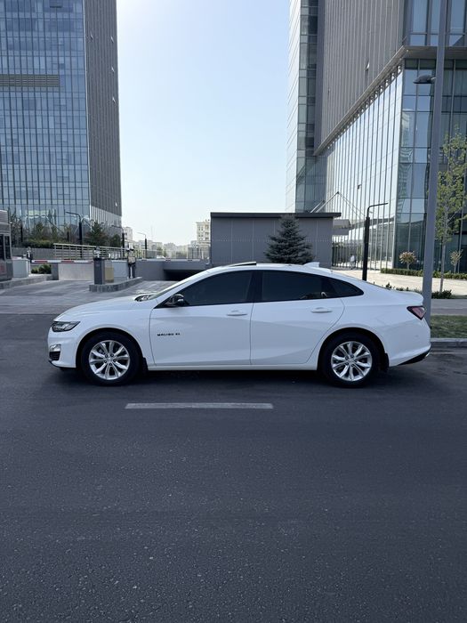 Malibu XL oq Tozza
