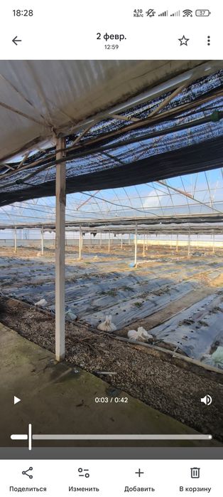 Сдам в аренду теплицу 1га