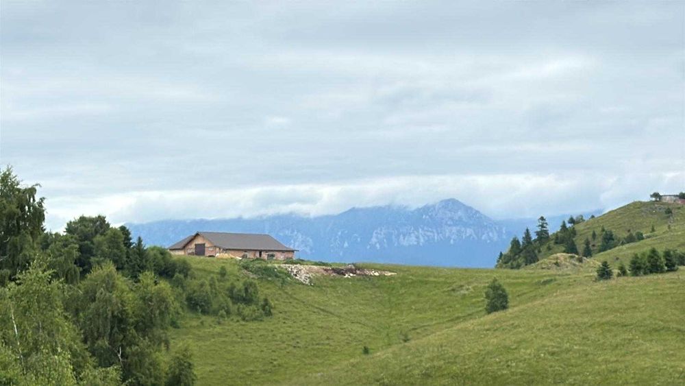 Teren cu cabana la Munte