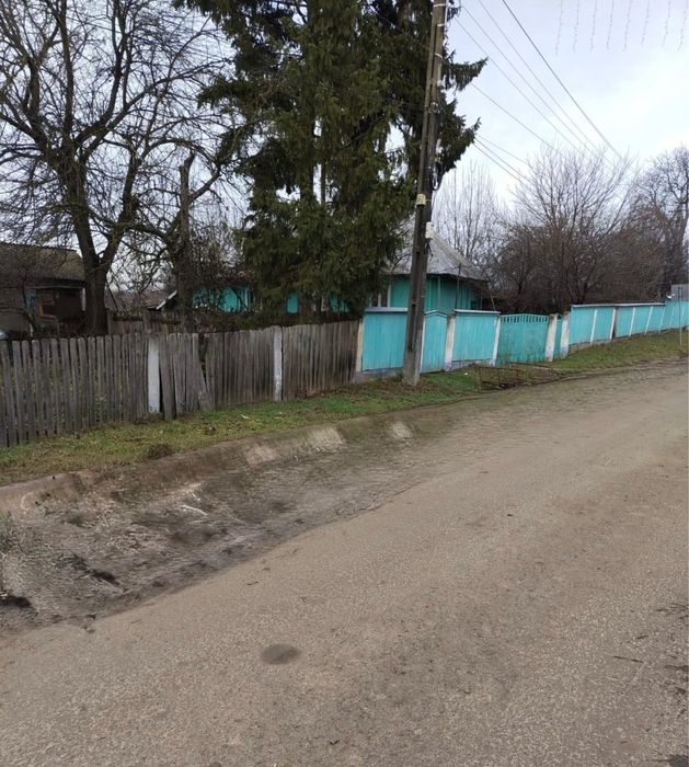 casa si padure de vanzare