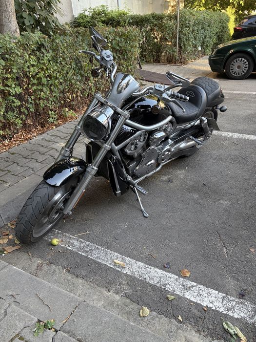 Harley Davidson V rod
