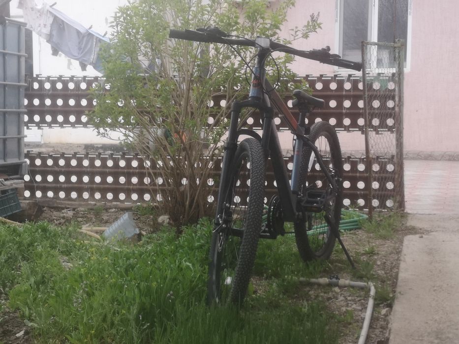 Осыны сатам алыныздар