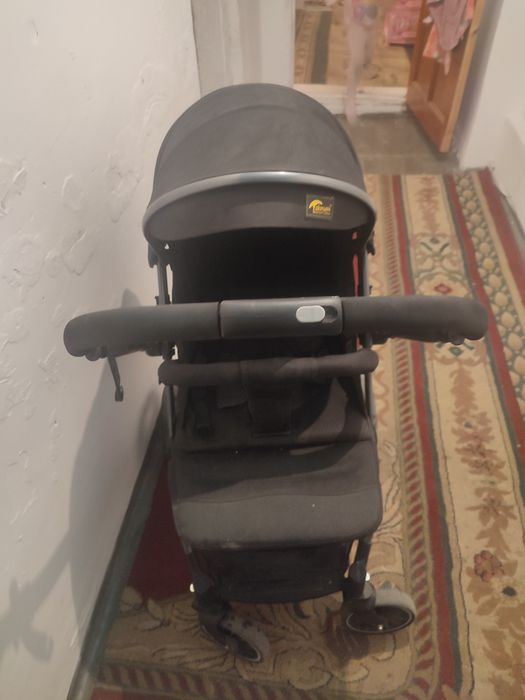 Каляска Пачти новый