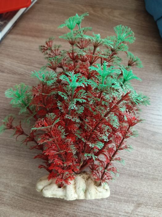 Продам аквариум, полный комплект с рыбками.