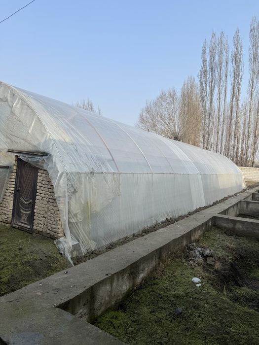 Тёплица асакада сотилади