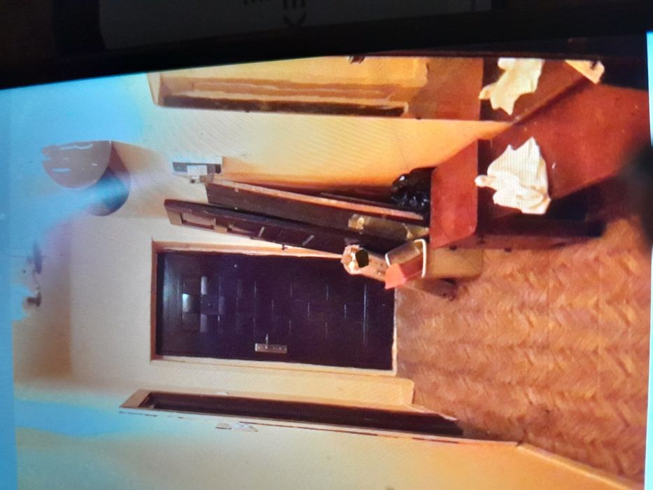 Garsoniera la padurea neagra