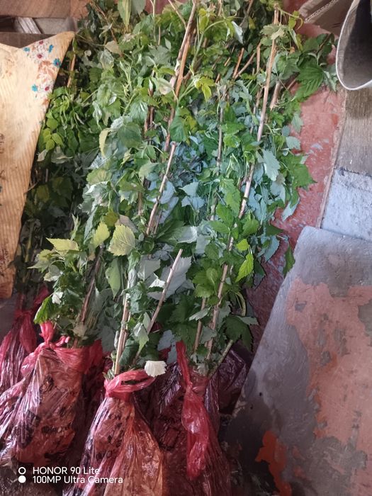 Малина сатылады дайын