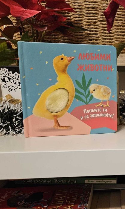 Детски книжки и карти