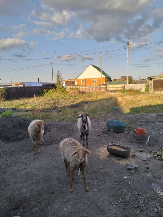 Продам земельный участок!