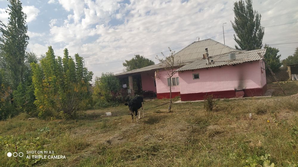 10 млн. Жер үй, Төреарық ауылы
