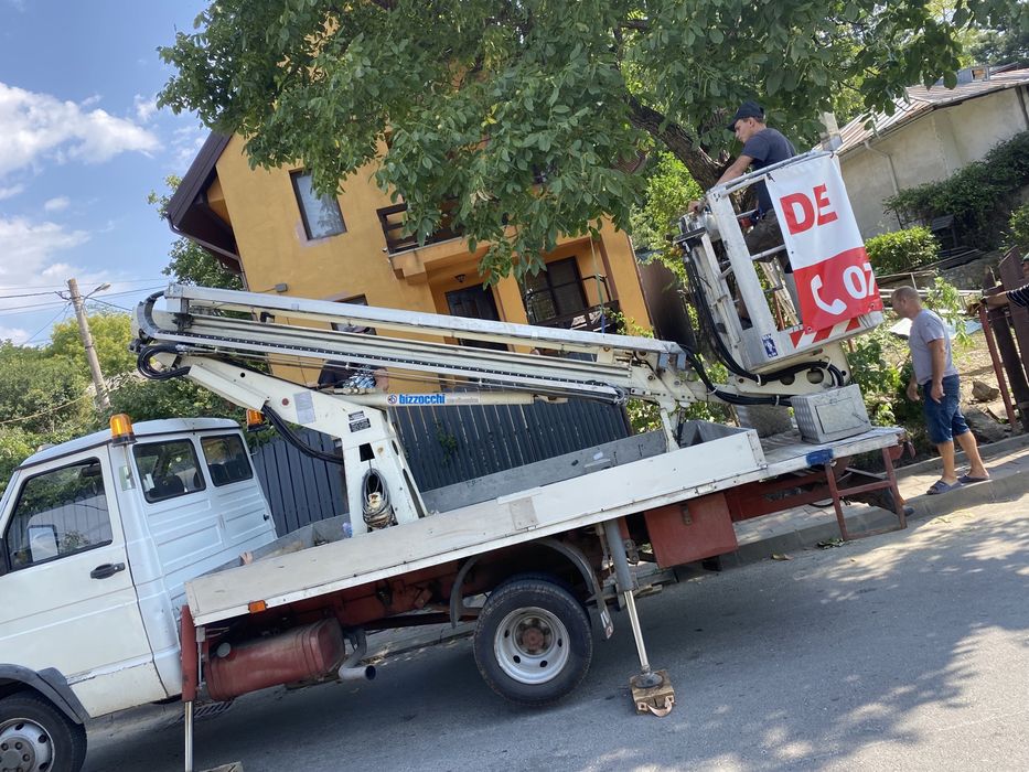 Taiere toaletare copaci defrișări terenuri curatenie