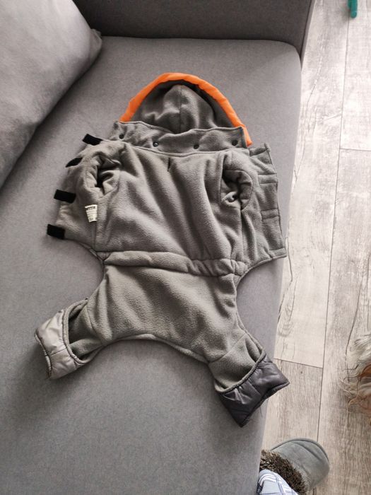 Одежда для собак