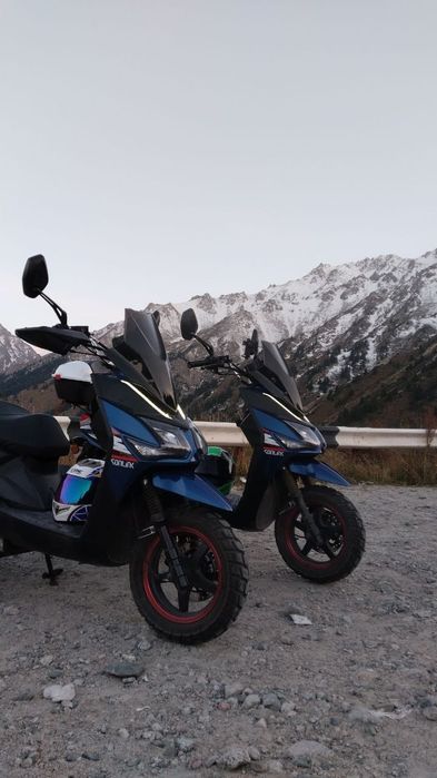 Мопет самурай.2025