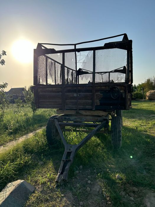 Телешка сатылады. Бағасы келісім бойынша.  6-лык  1 миллион