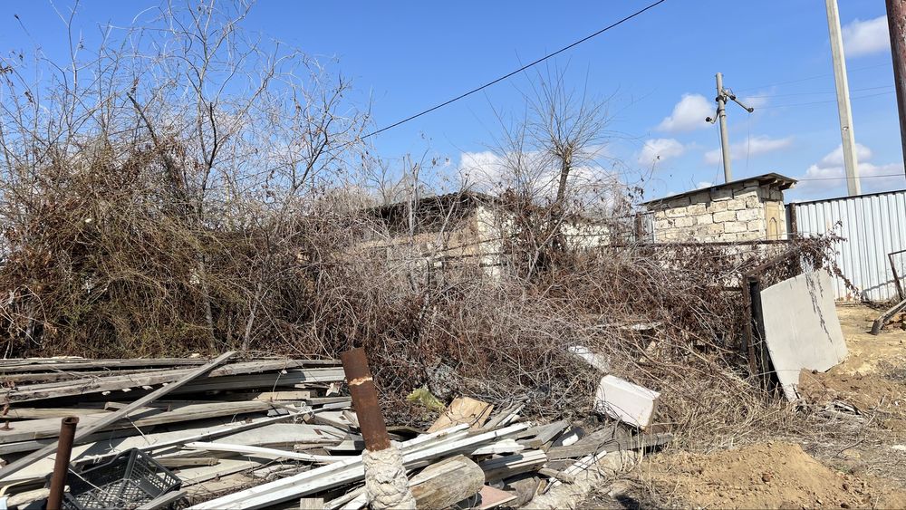 Отынға ағаштар тегін беріледі