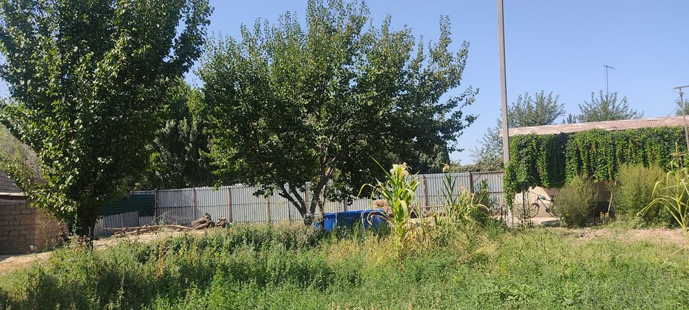 Уй сотилади 10 сотих 3 хонали