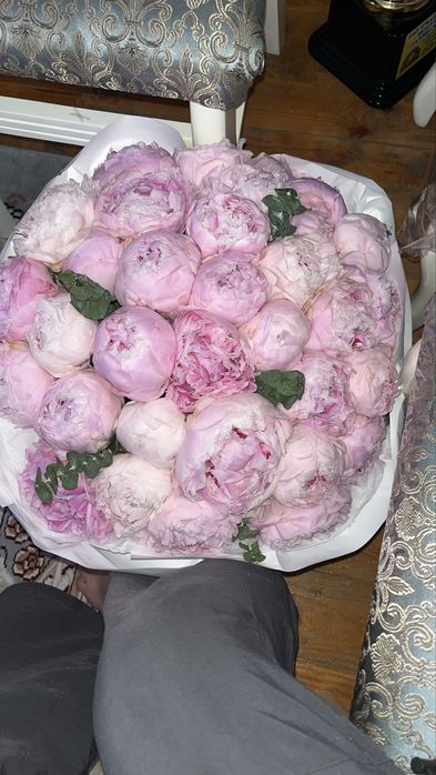 пионы 37шт свежий