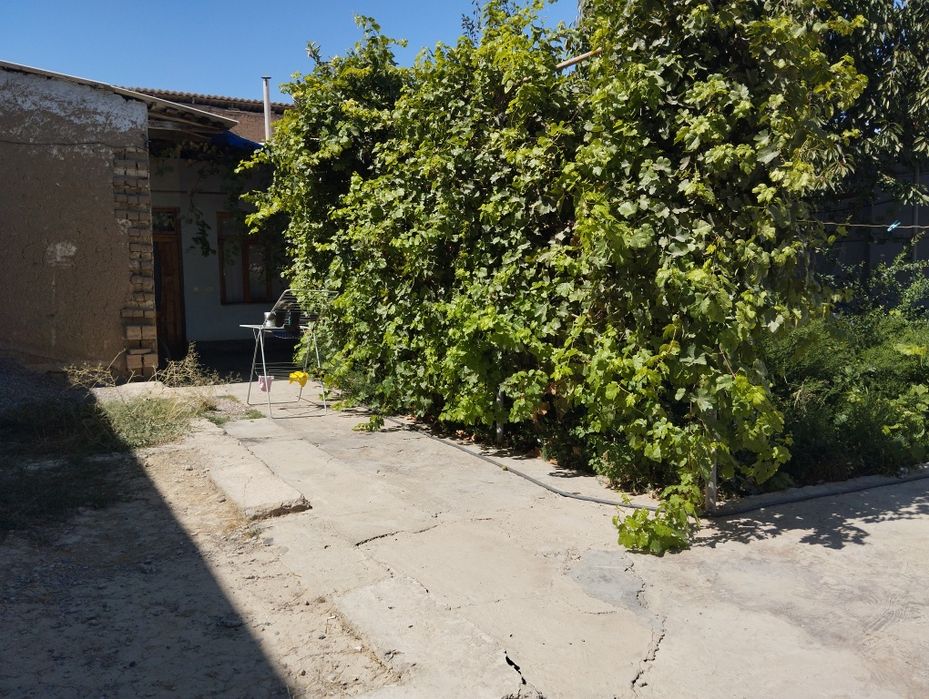 6 sotix hovli 4 sotix zaxvati bor Rohat postidan kirganda Majnuntol