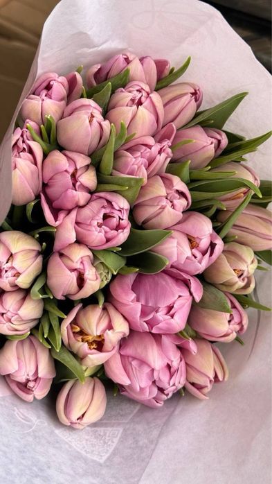 Тюльпаны оптом в розницу/ корпоративные заказы