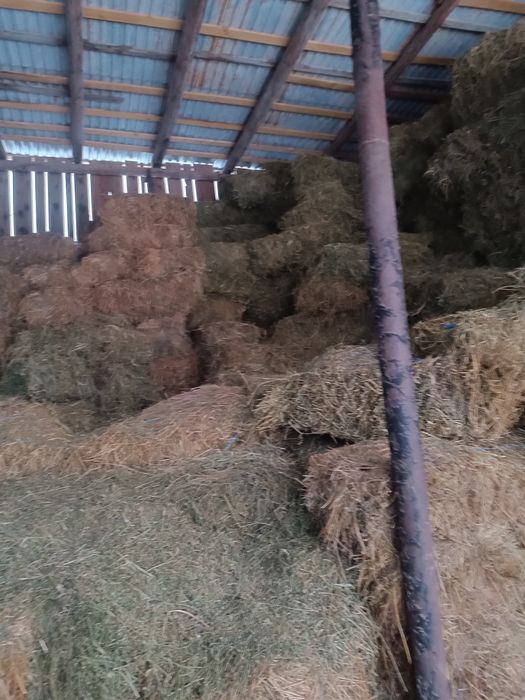 Vind baloți de lucernă