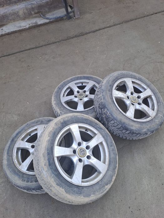 Титанка зимни ризина