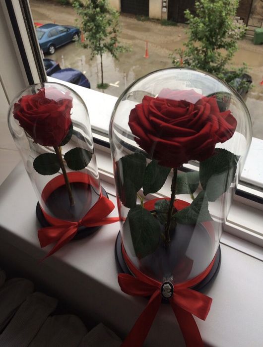 Trandafir criogenat conservat rosu 17 20 25 cm