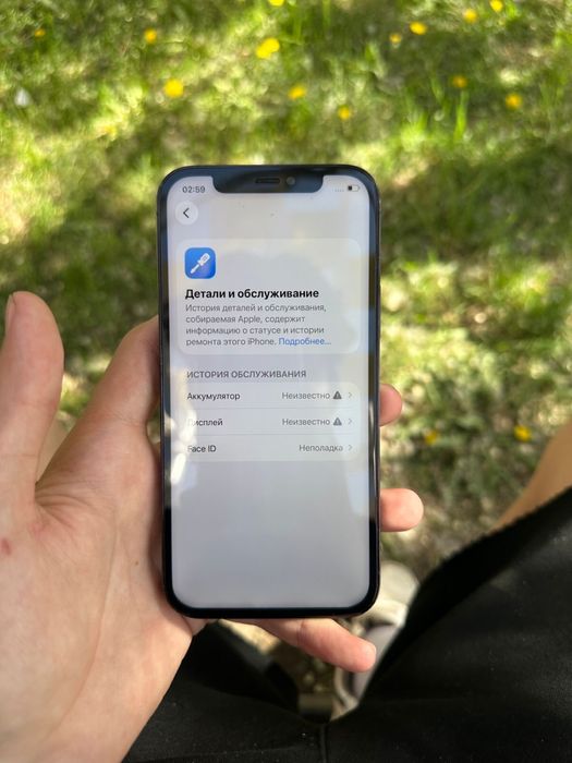 iPhone 12 pro 256Gb 100%