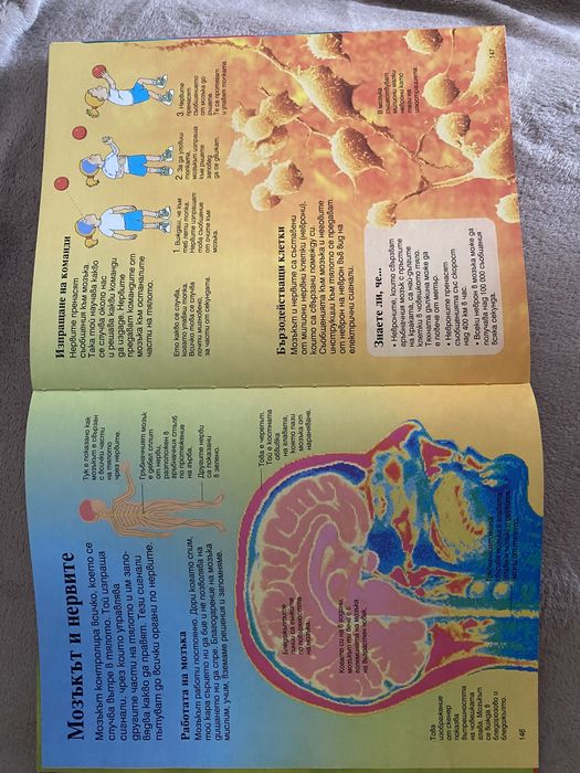 Много запазени детски енциклопедии